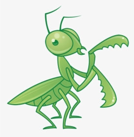Mantis Transparent Png - Praying Mantis Cartoon, Png Download, Free Download