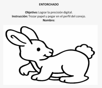 Imagen14 - Rabbit Cartoon Coloring Pages, HD Png Download, Free Download