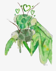 Mantis-love - Insect, HD Png Download, Free Download