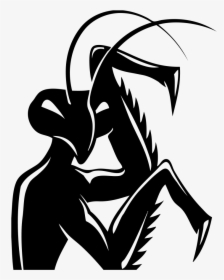 Black Mantis Kung Fu , Transparent Cartoons - Praying Mantis Drawing, HD Png Download, Free Download
