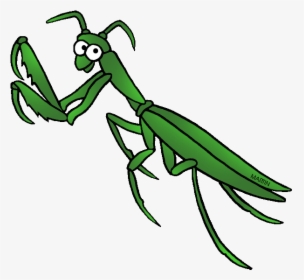 Free United States Clip Art By Phillip Martin, State - Praying Mantis Clipart, HD Png Download, Free Download