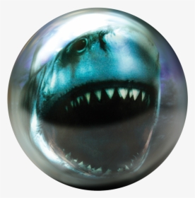 Brunswick Shark Glow Viz A Ball, HD Png Download, Free Download
