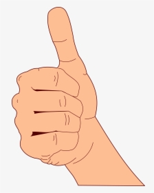 Thumbs Up - Thumbs Up Diagram, HD Png Download, Free Download