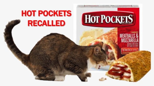 Hot Pockets Yum, HD Png Download, Free Download