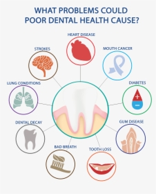 Dental Health Download Transparent Png Image - Problems Could Poor Dental Health Cause, Png Download, Free Download