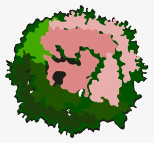 Tree-30a Clip Arts - Tree Top View Icon Png, Transparent Png, Free Download