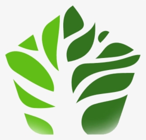Banyan Tree Logo Png - Legon Botanical Gardens Logo, Transparent Png, Free Download
