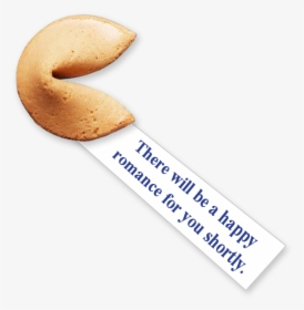 Fortune Cookie Sayings Wisdom Stickers Messages Sticker-1 - Fortune Cookie, HD Png Download, Free Download