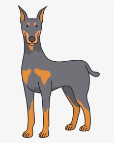 Dog - Doberman - Doberman Clipart, HD Png Download, Free Download