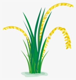 Transparent Plant Clip Art - Cartoon Rice Plant Png, Png Download, Free Download