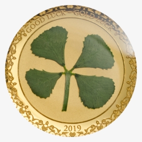 Four Leaf Clover Good Luck Gold Coin 1 2019, HD Png Download, Free Download