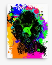 Poodle Colorful Splash Paint Canvas - Green Street Elite, HD Png Download, Free Download