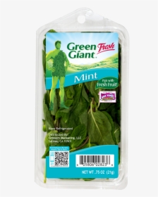 Green Giant Fresh Mint, HD Png Download, Free Download