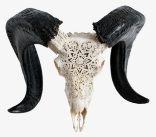 Carved Ram Skull - Horn, HD Png Download, Free Download