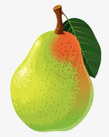 Food Clipart Vitamin K - Pear Png Clipart, Transparent Png, Free Download