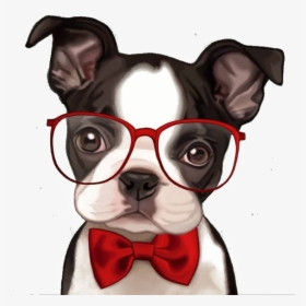 Bulldog Boston Pug French Bichon Frise Terrier Clipart - Boston Terrier Cartoon, HD Png Download, Free Download