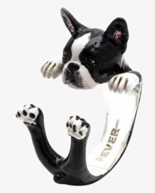 Boston Terrier Ring, HD Png Download, Free Download