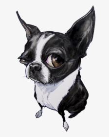 Drawing Of A Boston Terrier, HD Png Download, Free Download