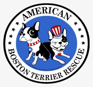 American Boston Terrier Rescue - St Catherine Institute Of Technology Malabon, HD Png Download, Free Download