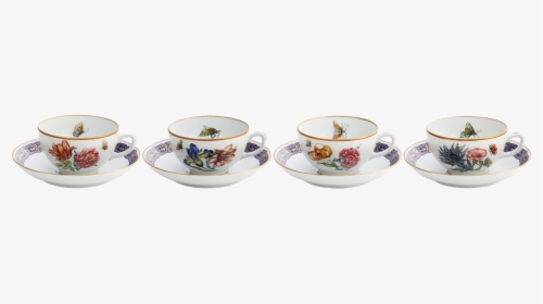 Merian Tea Cup & Saucer Set Of - Ceramic, HD Png Download, Free Download