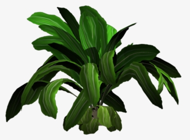 Desk - Tropical Plants Png, Transparent Png, Free Download