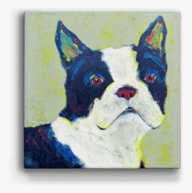 Boston Terrier, HD Png Download, Free Download