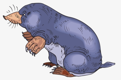 Blue Mole - Mole Clipart, HD Png Download, Free Download