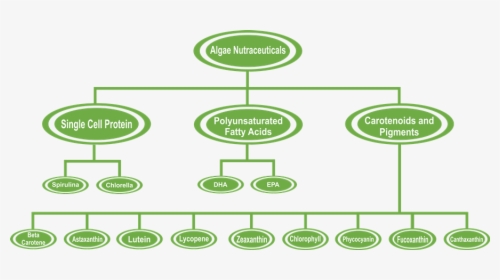 Supply Chain Of Nutraceutical, HD Png Download, Free Download