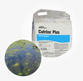Cutrine Plus Granular Algaecide With Filamentous Algae - Chlorophyta, HD Png Download, Free Download
