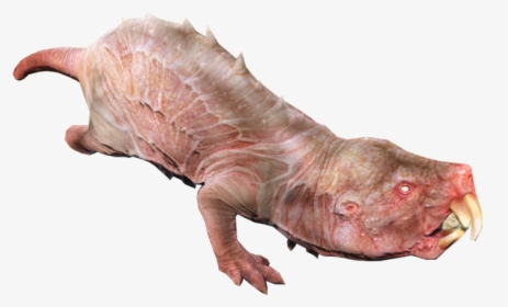 Mole Rat - Naked Mole Rat Png, Transparent Png, Free Download