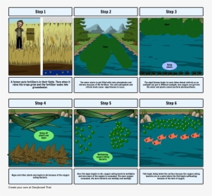 Eutrophication Steps, HD Png Download, Free Download