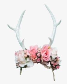 #antlers #flowers #crown #flowercrown - Flower Crown With Antlers Png, Transparent Png, Free Download