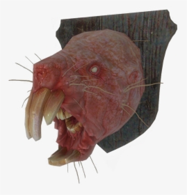 Clip Art Rat Fallout Wiki Fandom - Fallout Mole Rat Head, HD Png Download, Free Download