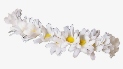 #crown #flowers #white #flower #flores #corona #coronadwflores - Flower Crown Tumblr Transparent, HD Png Download, Free Download