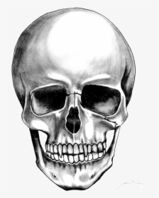 Skull Transparent Png, Png Download, Free Download