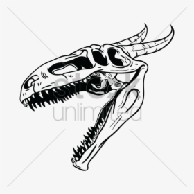 Dragon Skull Png - Dragon Skull Clipart, Transparent Png, Free Download