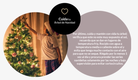 Por Último, Cuida Y Mantén Con Vida Tu Árbol - Christmas Ornament, HD Png Download, Free Download