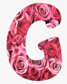 Pink,flower,garden Roses - Flower Alphabet Letter W, HD Png Download, Free Download