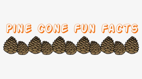 Pinecone Clipart Border - Lodgepole Pine, HD Png Download, Free Download