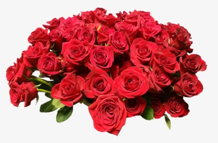 Rosas, Rosas Rojas, Flores, Flor, Belleza, Romántico - Mother's Day May 2019, HD Png Download, Free Download