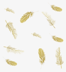 #mq #feather #feathers #gold #golden #falling - Falling Feathers Gold Png, Transparent Png, Free Download