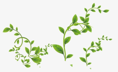 Green Leaves Png Download - Transparent Background Free Leaf Png, Png Download, Free Download