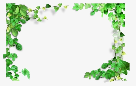 Ivy Clipart Watermelon Vine - Transparent Background Leaf Border, HD Png Download, Free Download