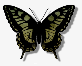 Transparent Butterfly Silhouette Png - Butterfly Outline Png, Png Download, Free Download