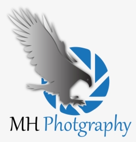 Transparent Bald Eagle Flying Png - Mh Photography Logo Png, Png Download, Free Download