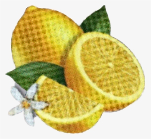 ##lemon #lemonade #beyonce #beyoncé #beyonceknowles - Dibujo De Una Lima Fruta, HD Png Download, Free Download