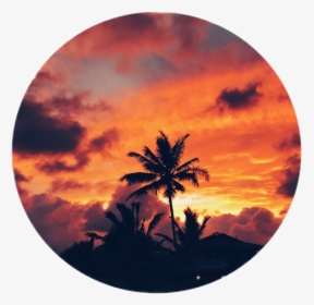 Palmeira Sticker - Sunset - Sunset Sticker Png, Transparent Png, Free Download