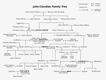 Julio Claudian Family Tree, HD Png Download, Free Download
