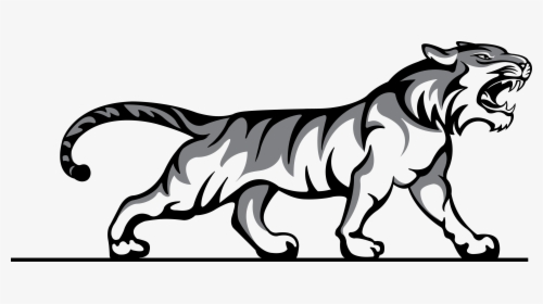 Activities - Tiger Body Black And White, HD Png Download, Free Download