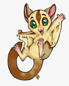 Sugar Glider Clipart, HD Png Download, Free Download